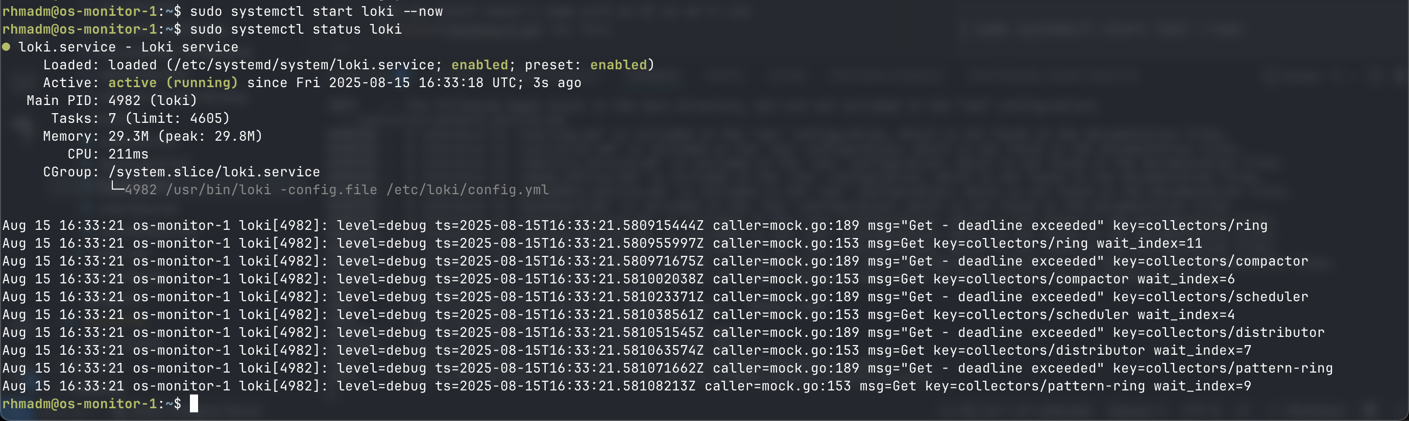 Start and enable Loki