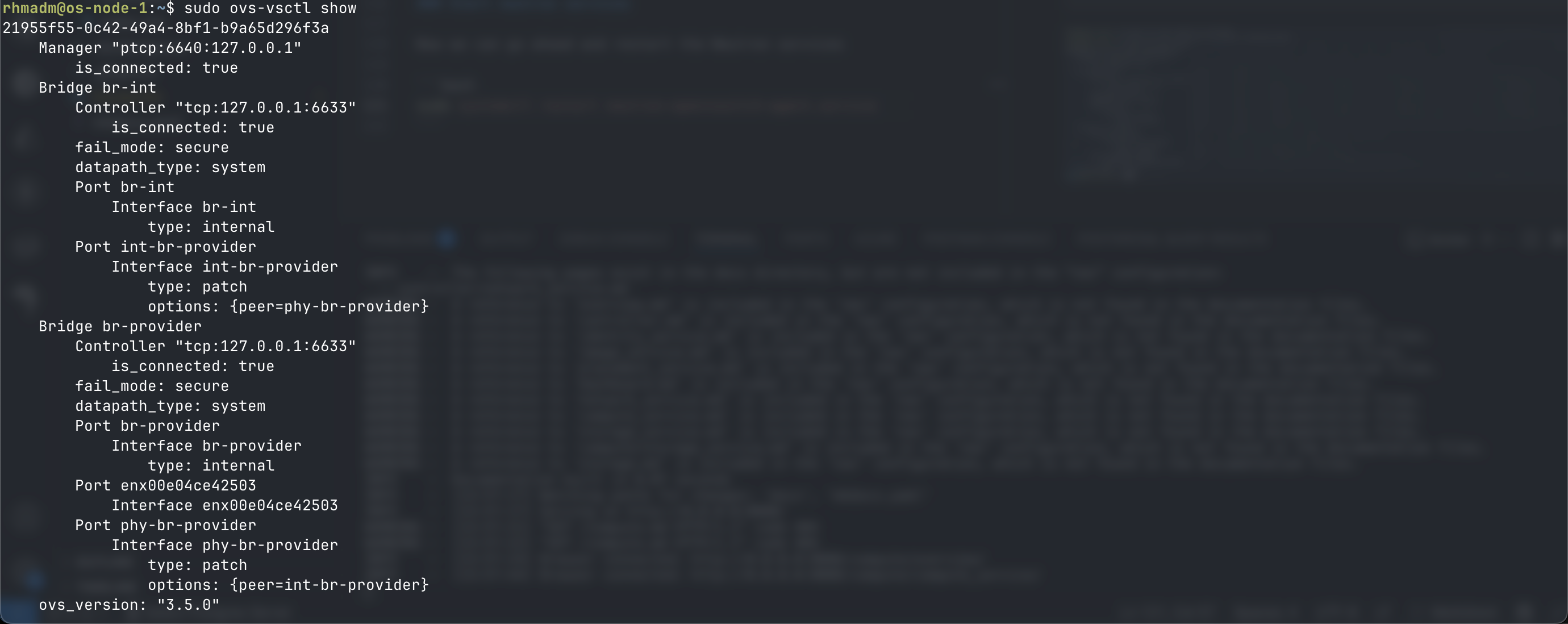 Updated OVS config with patch ports