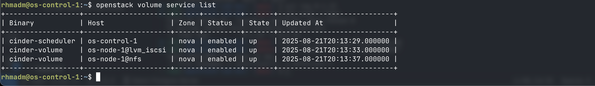 Verify NFS volume service