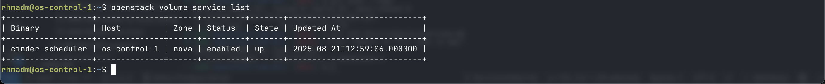 Verify Cinder scheduler service