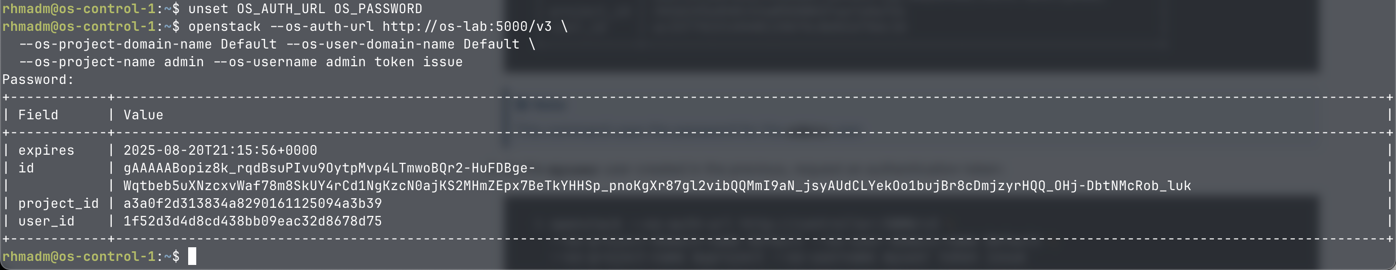 Verify token issue for admin user